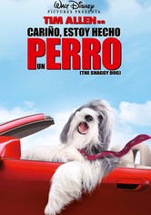 Cariño, estoy hecho un perro