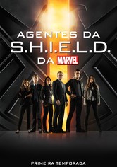 Os Agentes S.H.I.E.L.D.