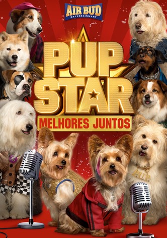 Estrelas Caninas - A União Faz a Força