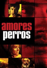 Amores perros