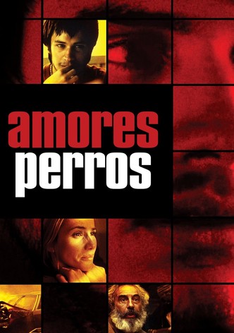 Amores perros
