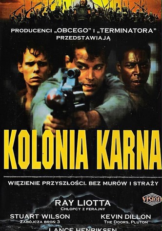 Kolonia karna