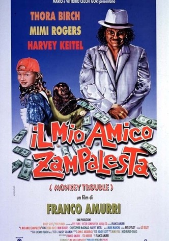 Il mio amico zampalesta