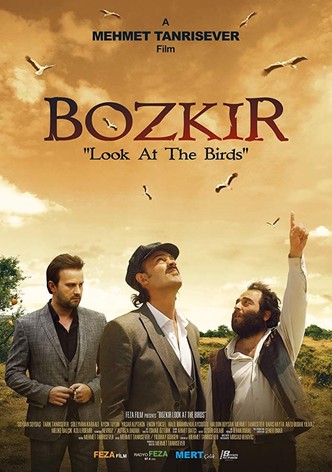 Bozkır: Look At The Birds