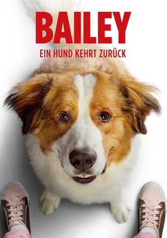 Bailey - Ein Hund kehrt zurück