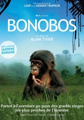 Bonobos