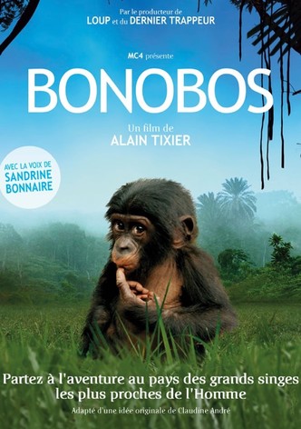 Bonobos