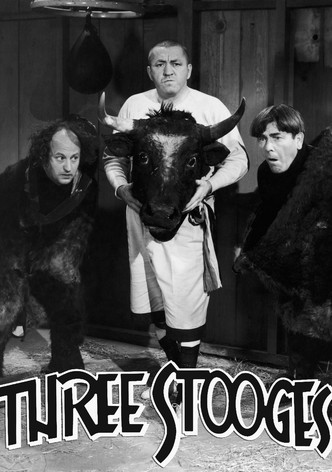 Season The Three Stooges Collection, Vol. 4: 1943-1945