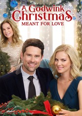 A Godwink Christmas: Meant For Love