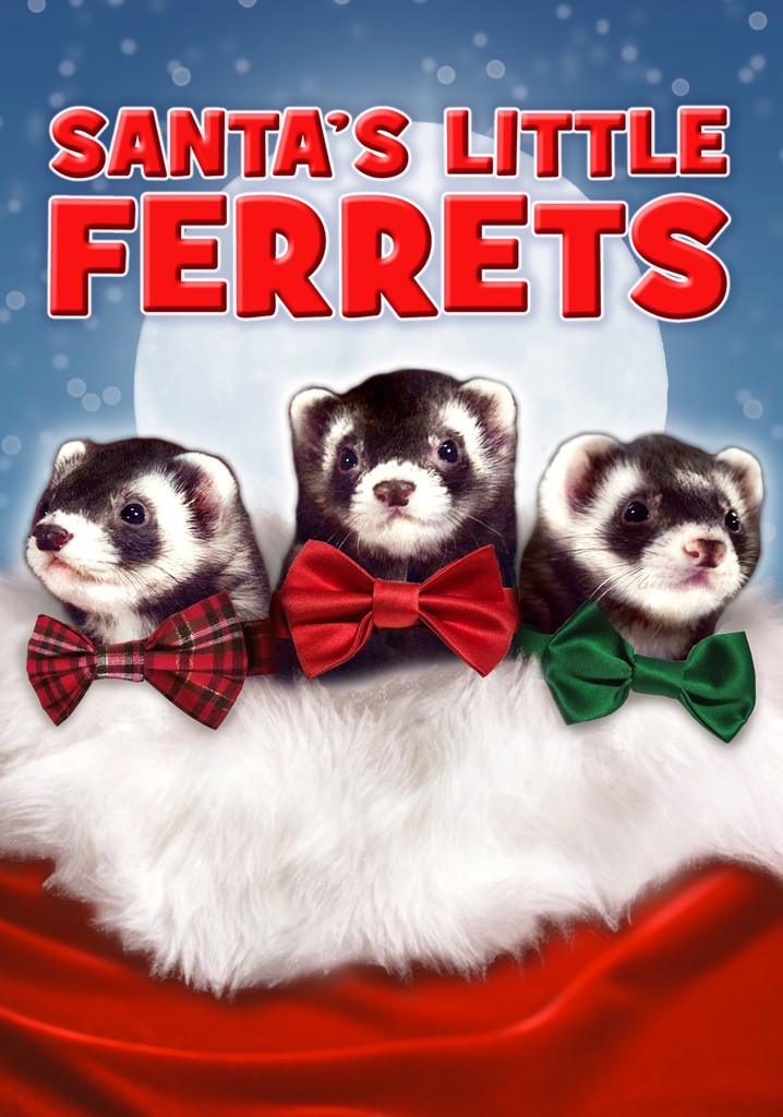 Santa's Little Ferrets