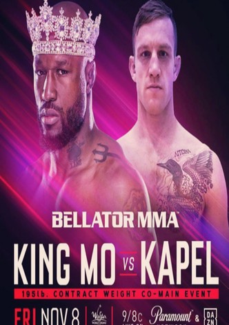 Bellator 233: Salter vs. Van Steenis