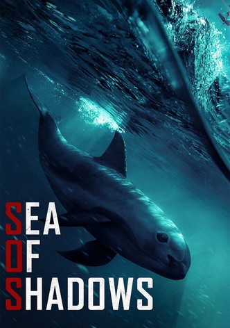 Sea of Shadows