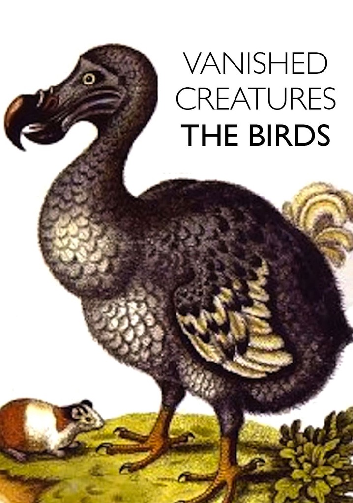 Dodo  A Book of Creatures