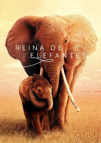 Reina de elefantes
