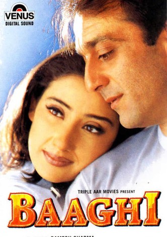 Baaghi