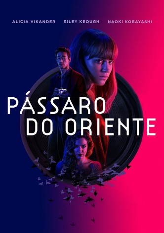 Pássaro do Oriente