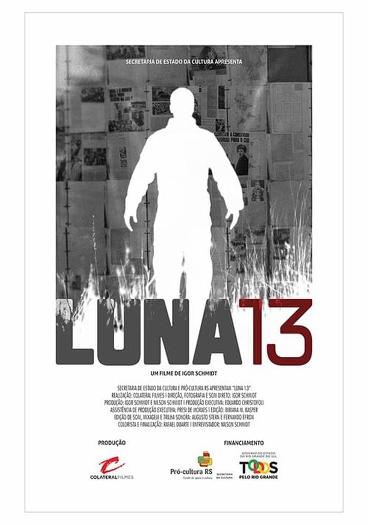 Luna 13