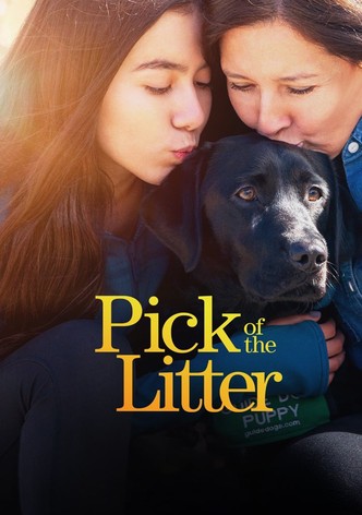 Pick of the Litter