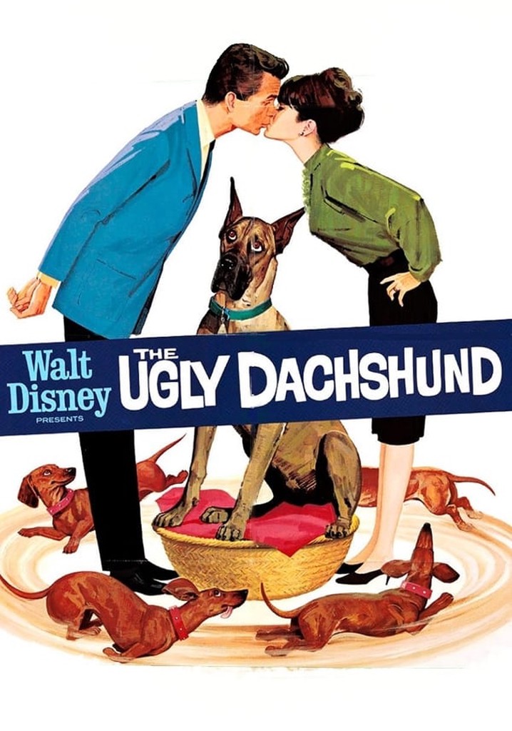 Dachshund movie on store netflix