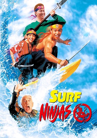 Les Fous du surf ninjas