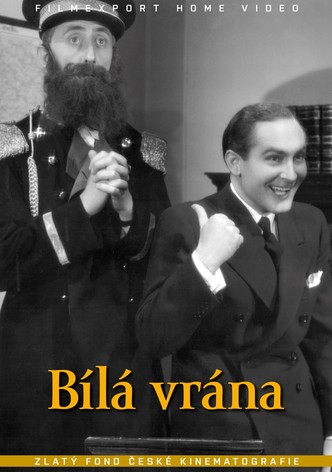 Bílá vrána