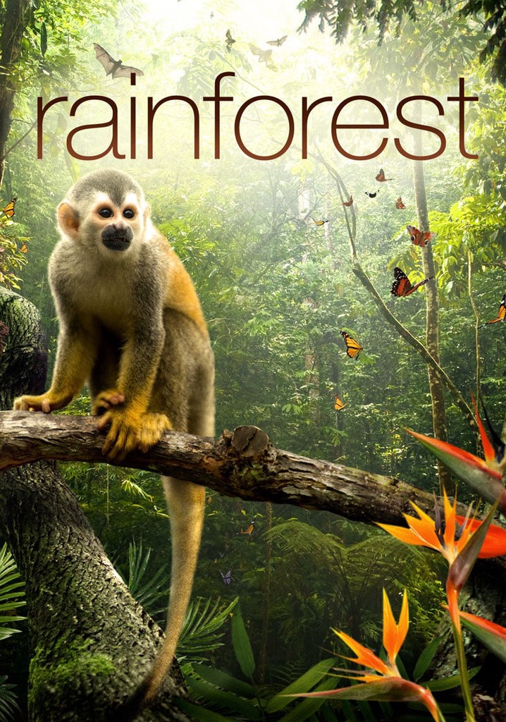 Secret Life of the Rainforest