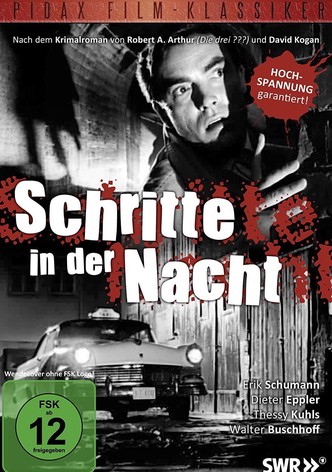 Schritte in der Nacht