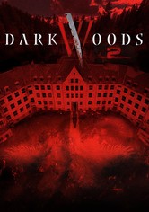Villmark Asylum - La clinica dell'orrore
