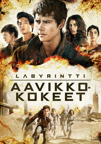 Labyrintti: Aavikkokokeet