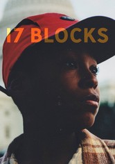 17 Blocks
