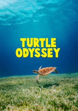 Turtle Odyssey