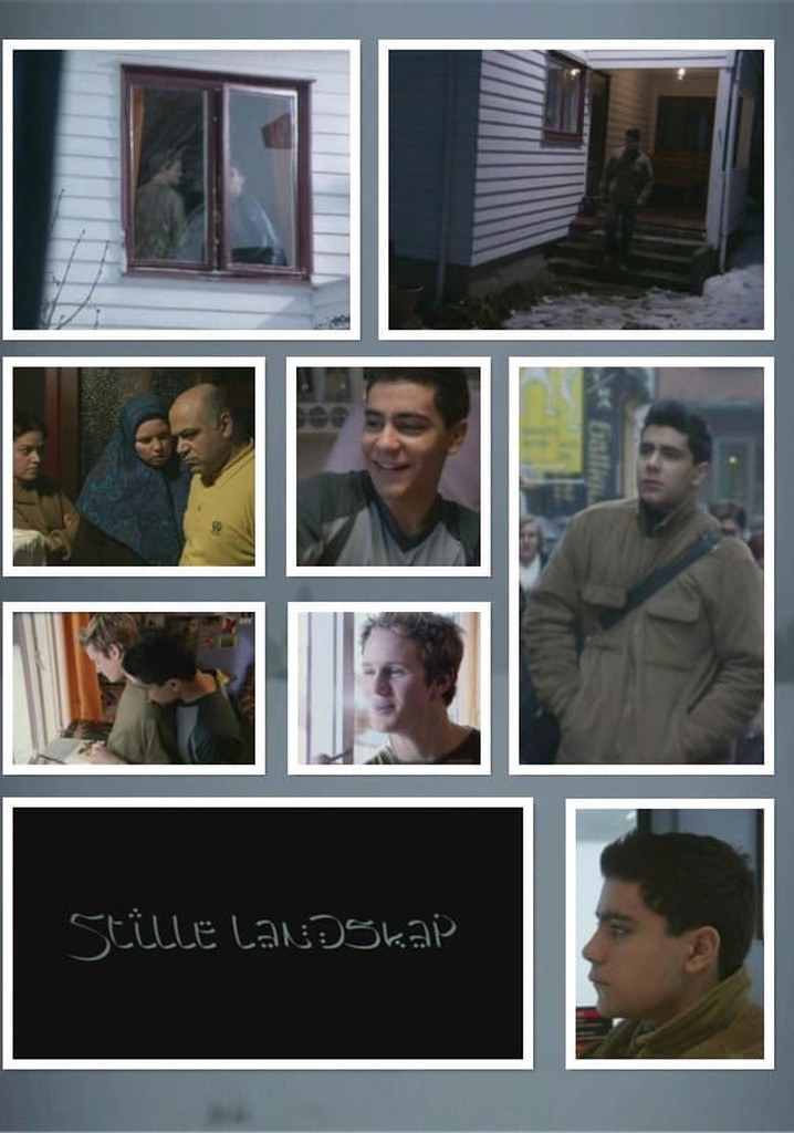 The Silent Landscape