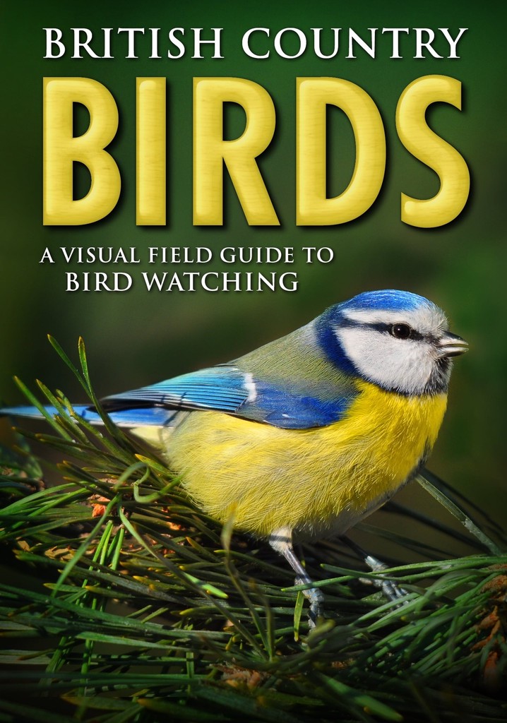 British Country Birds: A Visual Field Guide to Bird Watching