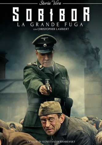 Indovina Chi? - film: guarda streaming online