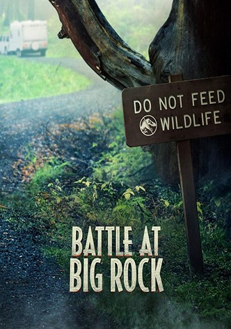 Battle at Big Rock