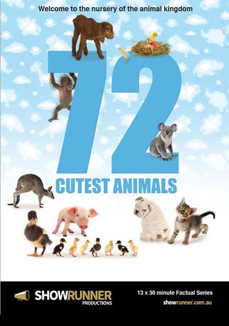 72 Cutest Animals