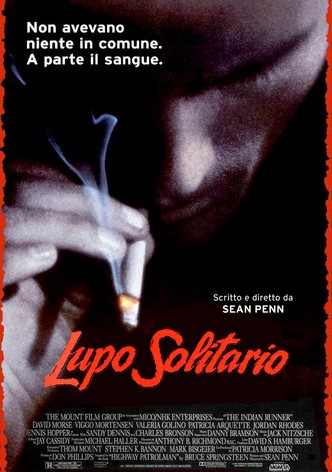 Lupo solitario