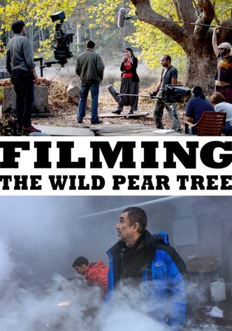 Making of The Wild Pear Tree