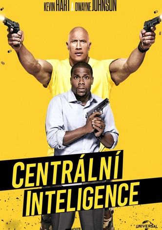 Centrální inteligence