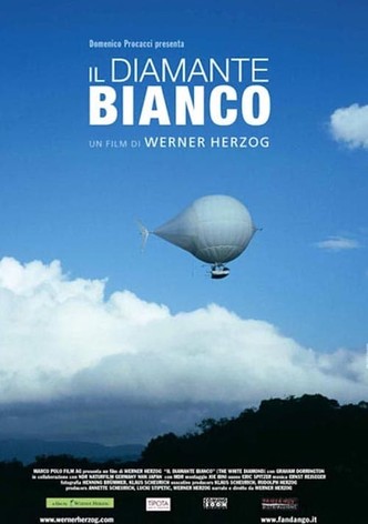 Il diamante bianco