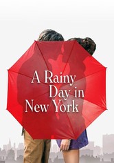 A Rainy Day in New York