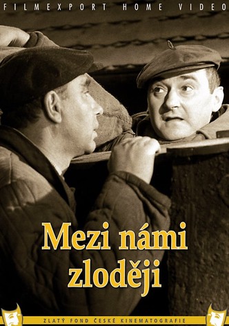 Mezi námi zloději