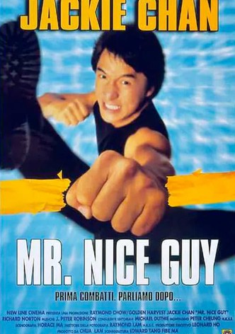 Mr. Nice Guy