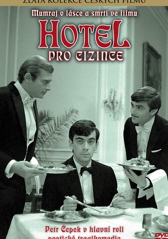 Hotel pro cizince