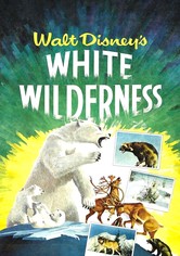 White Wilderness