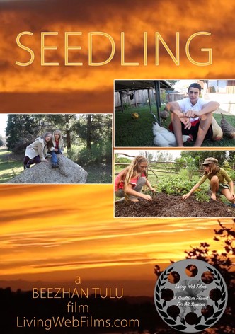 Seedling