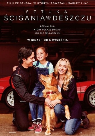 Sztuka ścigania się w deszczu