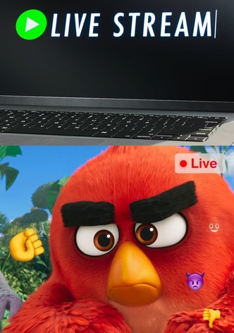 Angry Birds: Live Stream