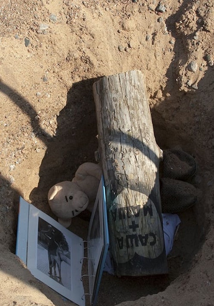 In The Order of Things