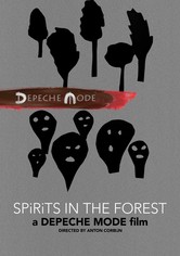 Spirits in the Forest